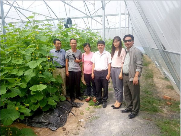Application Institute staff & Vietnam Agricultural Development - Vitad-Agri visited and worked at Kim Long High-Tech Agricultural Cooperative