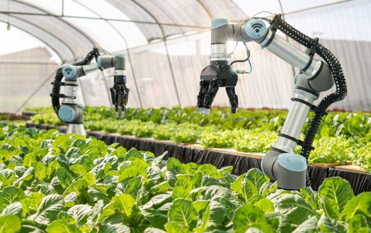 Smart robotic farmers in agriculture futuristic robot automation to vegetable farm,Smart farm concept