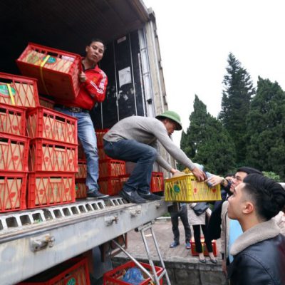 Người dân tập trung mua sầu riêng ‘giải cứu’ cho nông dân các tỉnh Đồng bằng sông Cửu Long