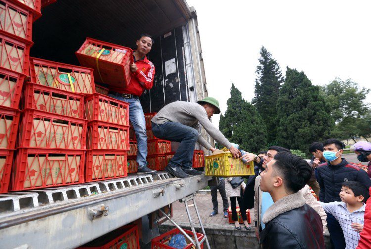 People focus on buying durian 'rescue' for farmers in the Mekong Delta provinces