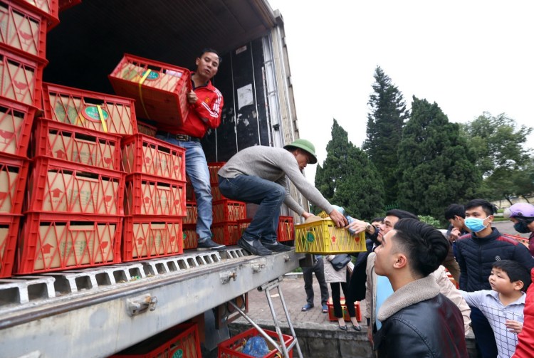 Người dân tập trung mua sầu riêng ‘giải cứu’ cho nông dân các tỉnh Đồng bằng sông Cửu Long ngày 17/2/2020 tại thành phố Hưng Yên. (Ảnh: Phạm Kiên/TTXVN)