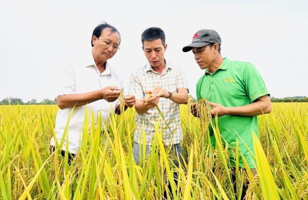 anh-1-102807_651-180723-104824_985-114127