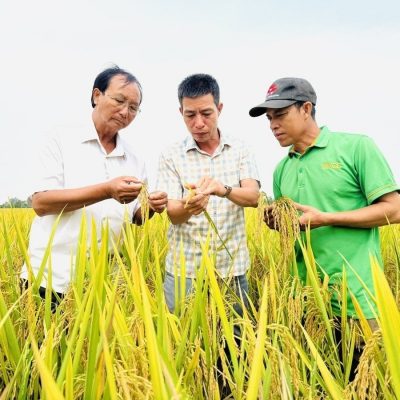 anh-1-102807_651-180723-104824_985-114127