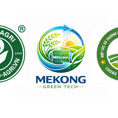 3 LOGO