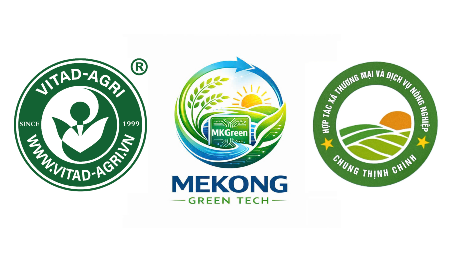 3 LOGO